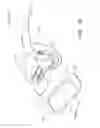 Fig. 16 - Securement device having an integral strap and dressing