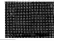 Fig. 01 - PATTERNED CARBON NANOTUBE ELECTRODE