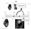 Fig. 01 - Systems and methods for neuromodulation device coding with trans-species libraries