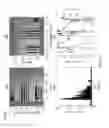 Fig. 06 - Systems and methods for neuromodulation device coding with trans-species libraries