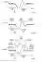 Fig. 06 - Autonomic modulation using transient response with intermittent neural stimulation