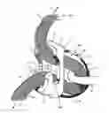 Fig. 01 - BELAYING AND RAPPEL DEVICE HAVING BLOCKING RECESS