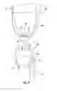 Fig. 07 - Exercise device for utilizing an elastic band to perform exercises