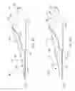Fig. 05 - Inflatable swim fin apparatus