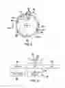Fig. 05 - Spinning toy assembly