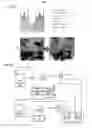 Fig. 06 - Method for concentrating aqueous containing solute into high concentration by hydraulic-membrane process under no difference in osmotic pressure