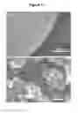 Fig. 04 - Filtering article containing titania nanotubes
