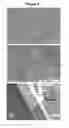 Fig. 06 - Filtering article containing titania nanotubes