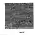 Fig. 07 - Process for the preparation of MOFs-porous polymeric membrane composites