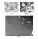 Fig. 07 - METHOD FOR PRODUCING A MICROENCAPSULATE AND CORRESPONDING REACTIVE AMPHIPHILIC COMPOUND, MICROENCAPSULATE AND COMPOSITION