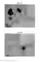 Fig. 02 - Photo-responsive macro- and micro-liquid marbles