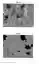 Fig. 04 - Photo-responsive macro- and micro-liquid marbles