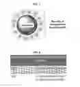 Fig. 07 - Photo-responsive macro- and micro-liquid marbles