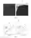 Fig. 04 - Diatom-based nanocomposites, methods for their preparation and use