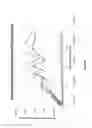 Fig. 06 - Catalytic Zinc Oxide