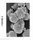 Fig. 07 - Molecular sieve catalyst compositions, catalyst composites, systems, and methods