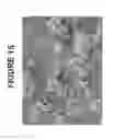 Fig. 16 - Molecular sieve catalyst compositions, catalyst composites, systems, and methods