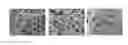 Fig. 01 - Molecular sieve catalyst compositions, catalytic composites, systems, and methods