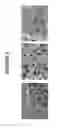 Fig. 06 - Molecular sieve catalyst compositions, catalytic composites, systems, and methods