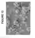 Fig. 16 - Molecular sieve catalyst compositions, catalytic composites, systems, and methods