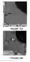 Fig. 19 - Molecular sieve catalyst compositions, catalytic composites, systems, and methods