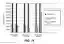 Fig. 17 - Molecular analysis system and use thereof