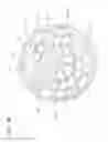 Fig. 11 - Pulse shower device