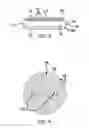 Fig. 03 - Sprinkler Head Concealment Assembly