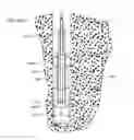 Fig. 49 - Tools and methods for making and using tools, blades and methods of making and using blades