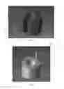 Fig. 02 - APPARATUS FOR FORMING ICE SHAPES