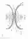 Fig. 07 - Integral vasculature