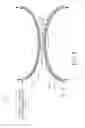 Fig. 08 - Integral vasculature
