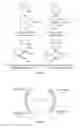 Fig. 02 - 3D printing method that enables arraying horizontal filaments without support