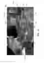 Fig. 10 - Methods and a machine for forming a container from a blank using a rotatable glue panel folder