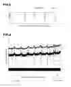 Fig. 03 - Methods of printing calibration patterns, calibration methods, and printers