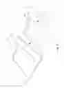 Fig. 09 - Picture album