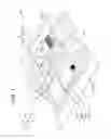 Fig. 02 - Vehicle body structure