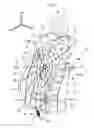 Fig. 08 - Vehicle seat