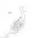 Fig. 08 - Headrest assembly for a vehicle seat