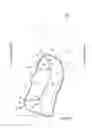 Fig. 02 - Vehicular side airbag device