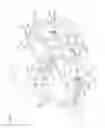 Fig. 02 - Vehicle