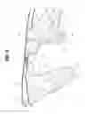 Fig. 07 - Vehicle body frame structure of motorcycle