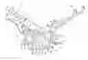 Fig. 01 - Vehicle body frame structure of motorcycle