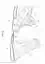 Fig. 07 - Vehicle body frame structure of motorcycle