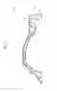 Fig. 08 - Vehicle body frame structure of motorcycle