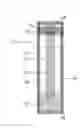 Fig. 01 - Infusion package and assembly