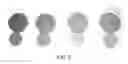 Fig. 04 - Self glazed ceramic/glass composite and method for manufacturing the same