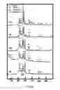 Fig. 07 - Self glazed ceramic/glass composite and method for manufacturing the same