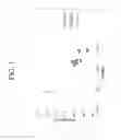 Fig. 02 - Fictivated glass and method of making