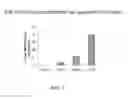 Fig. 02 - METHOD FOR TREATING MACROPHAGE MIGRATION INHIBITORY FACTOR (MIF)-IMPLICATED DISEASES AND CONDITIONS WITH IODO PYRIMIDINE DERIVATIVES